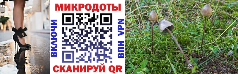 купить наркоту  Циолковский  OMG ONION  Галлюциногенные грибы Magic Shrooms 